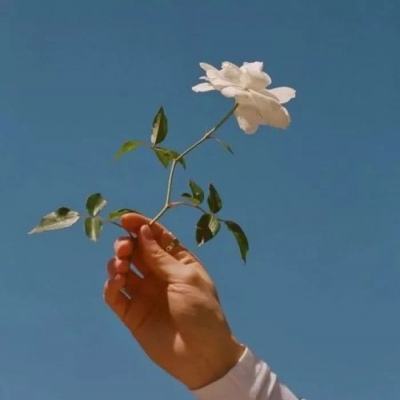 戒灵传说bt版手游下载
