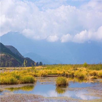小米口水三国手游下载